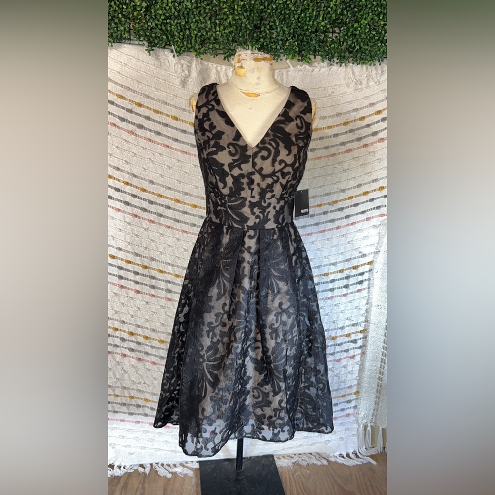 Elegant Black Lace Dress